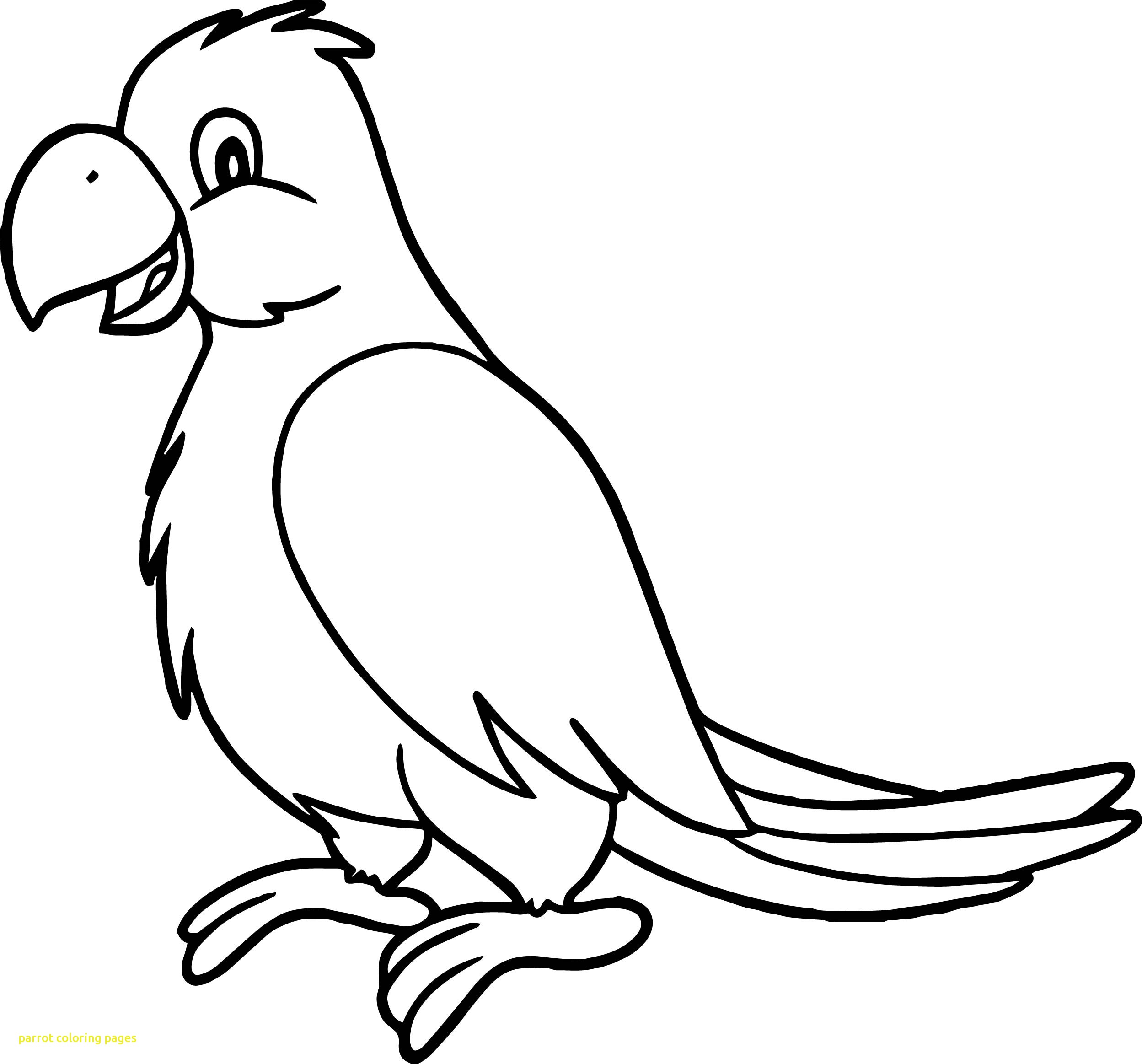 2497x2326 Baby Parrot Coloring Pages Archives
