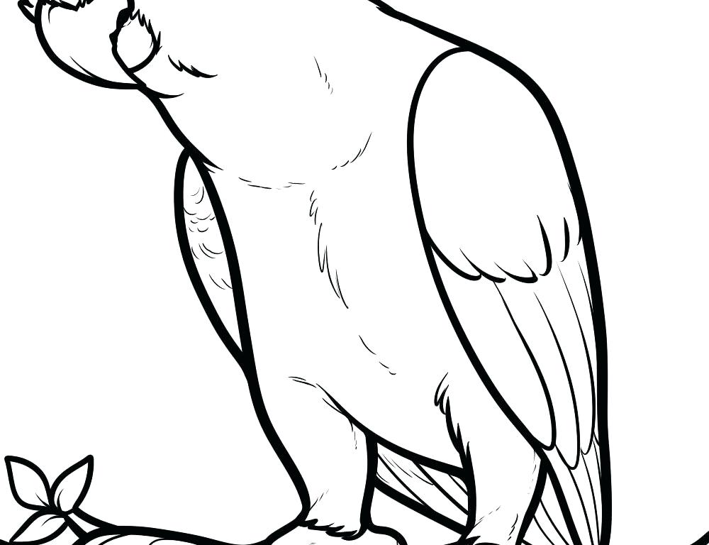 1000x768 Parrot Coloring Letter P Is For Parrot Coloring Page Free