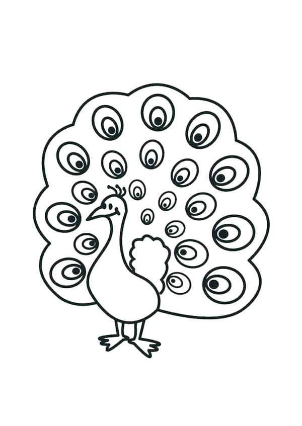 600x847 Peacock Coloring Pages To Print Coloring Pages Of Peacocks Lovely