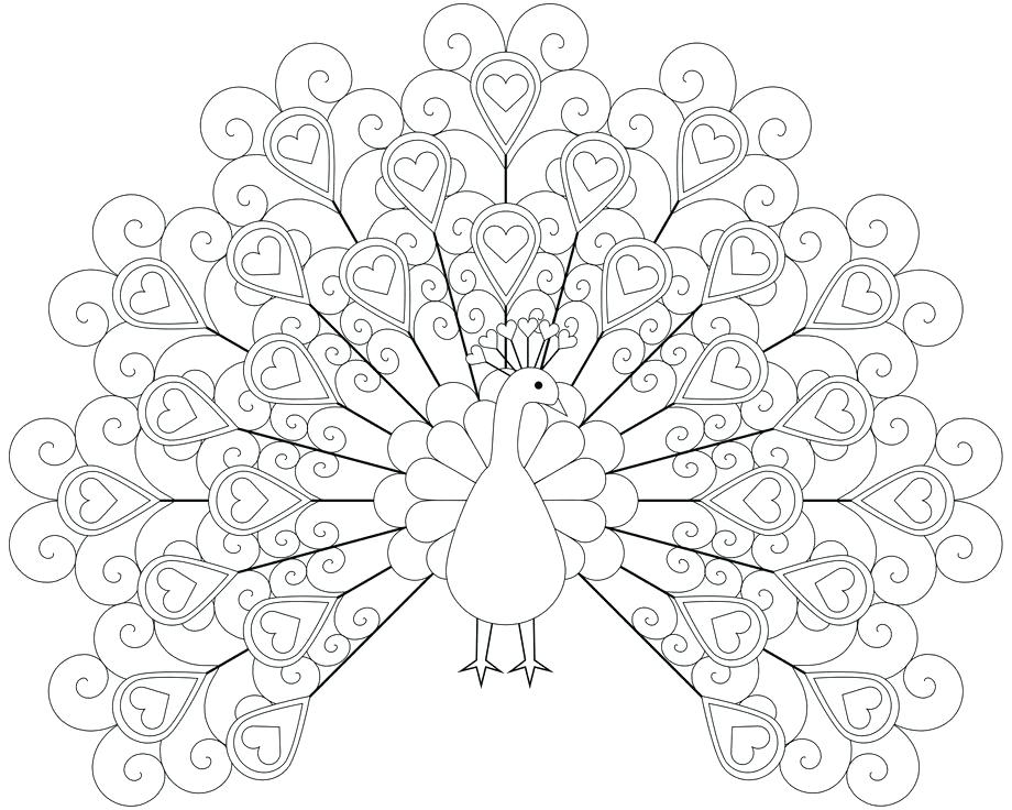 920x736 Peacock Colouring Page Pencil And In Color Peacock Peacock