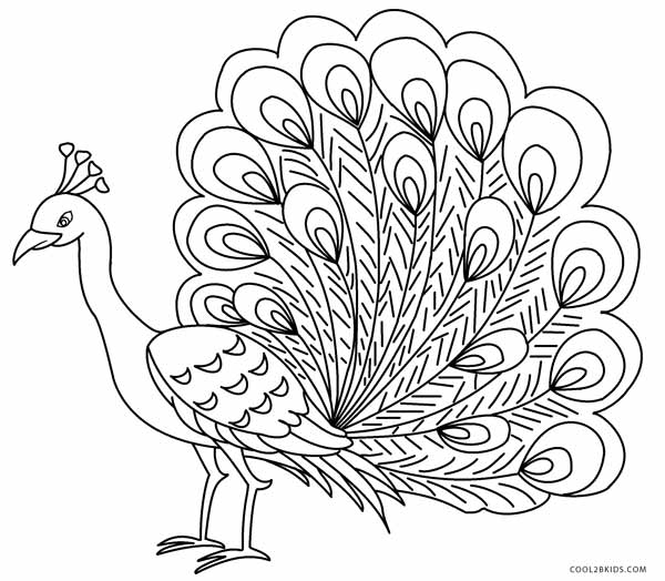 600x524 Peacock Pictures Coloring Pages