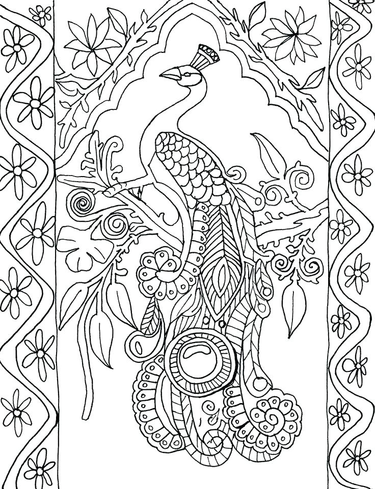 736x961 Peacock Pictures To Color Peacock Coloring Page Coloring Page