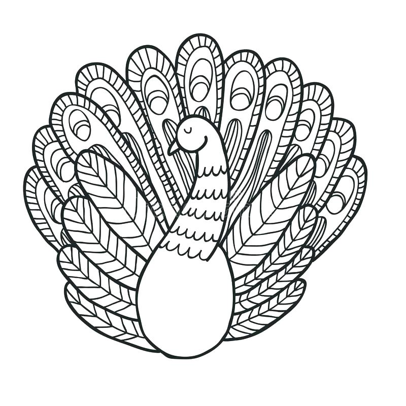 800x800 Peacock Coloring Page Impair.co