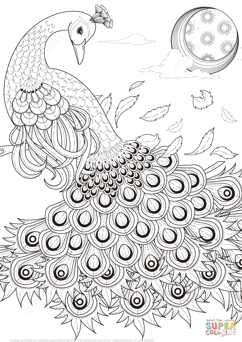 919x1300 Cool Realistic Peacock Coloring Pages Free Coloring Page Printable