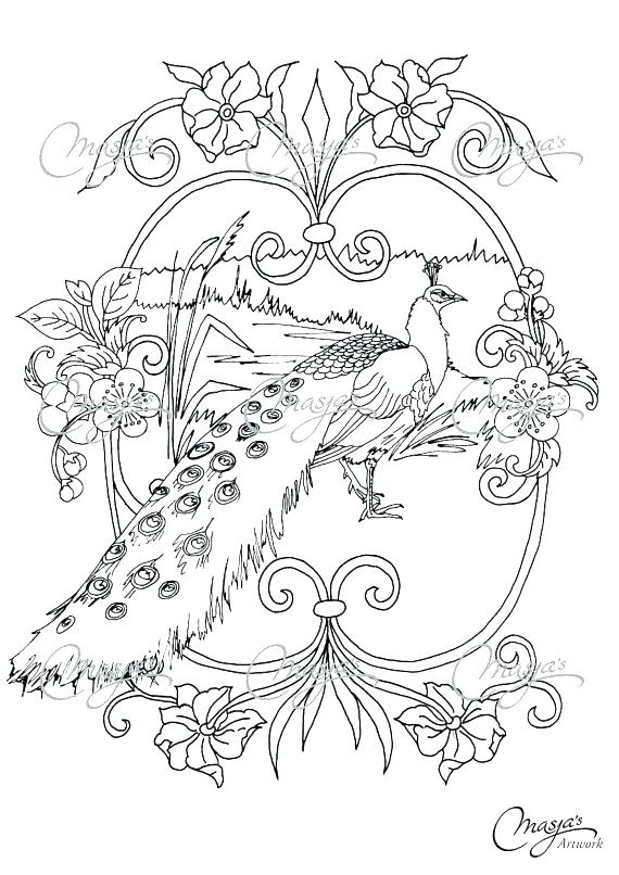 570x806 Peacock Coloring Page Realistic Peacock Coloring Page Realistic