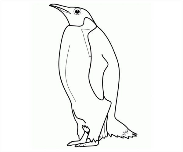 600x500 Penguin Coloring Pages