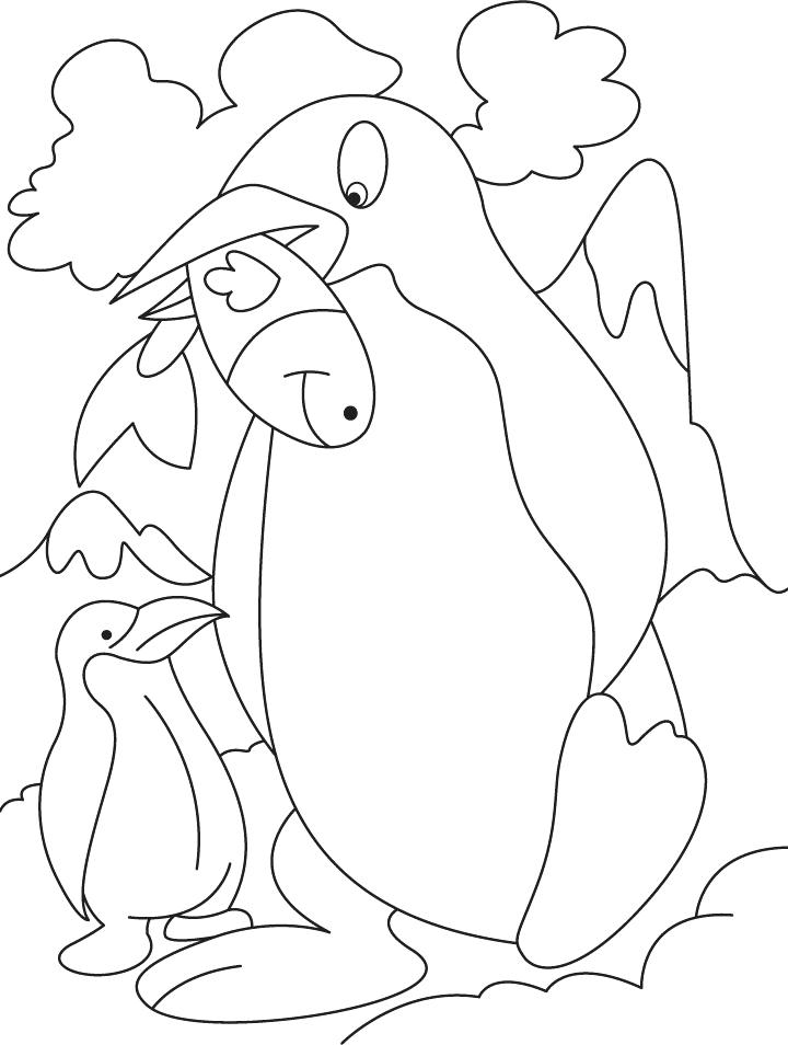 720x954 Realistic Penguin Coloring Page Free Printable Realistic Penguin