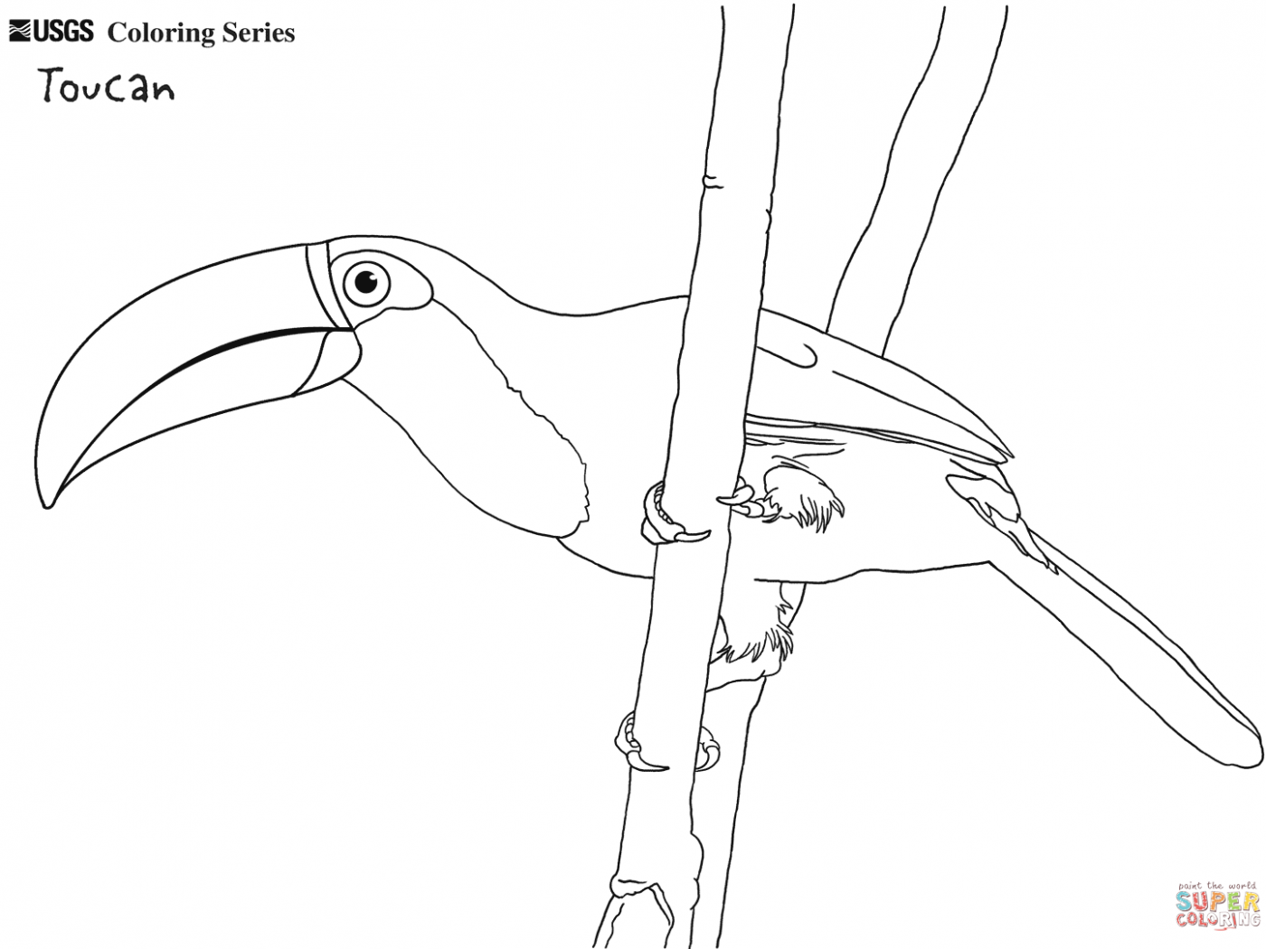 1400x1050 Toucan Coloring Pages To Print Page For Preschoolers Cartoon Sam