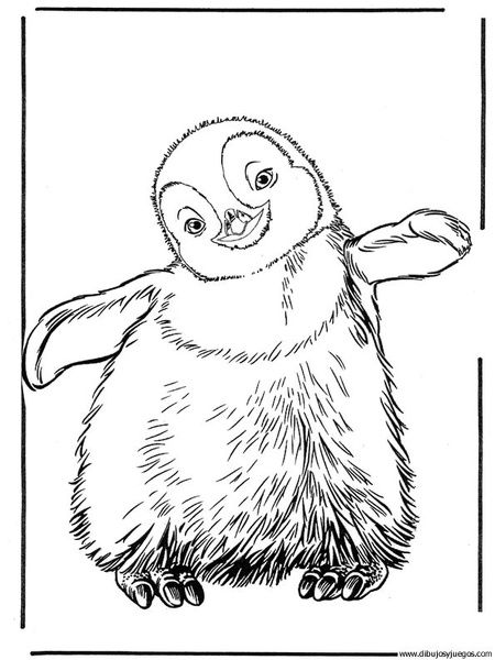 450x600 Dibujo De Pinguino 006