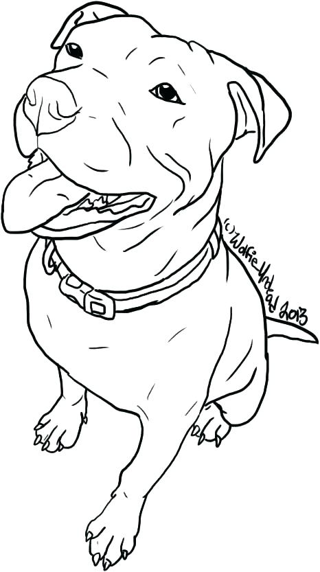 466x833 Pitbull Coloring Pages Coloring Pages Coloring Pages Free Pit Bull