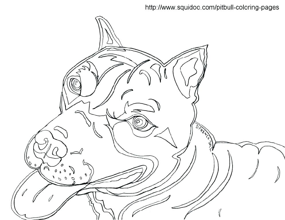 994x768 Pitbull Coloring Page