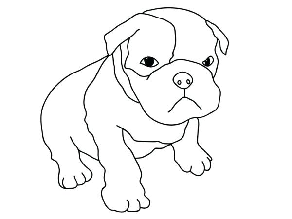 600x450 Pitbull Coloring Page Coloring Page Fine Picture Realistic Pitbull