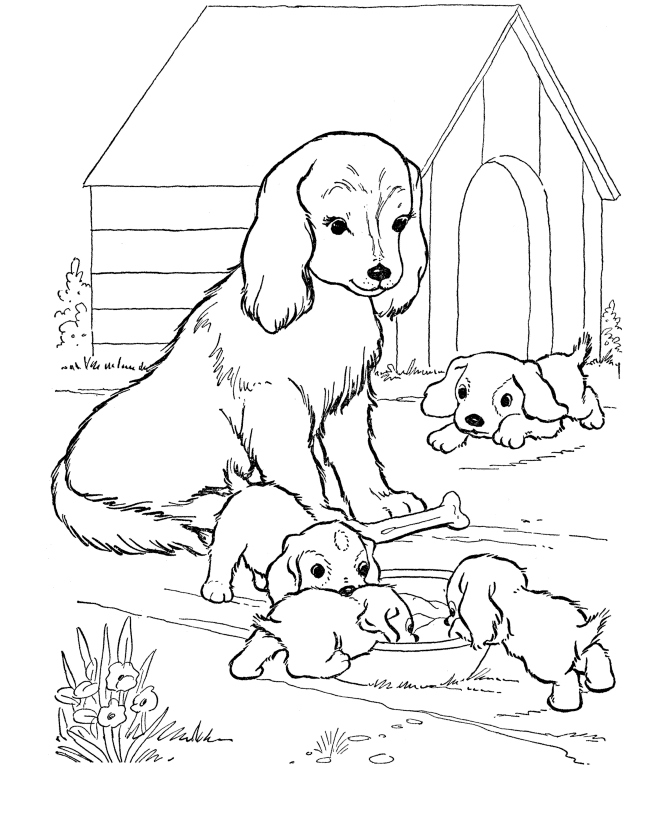Realistic Puppy Coloring Pages