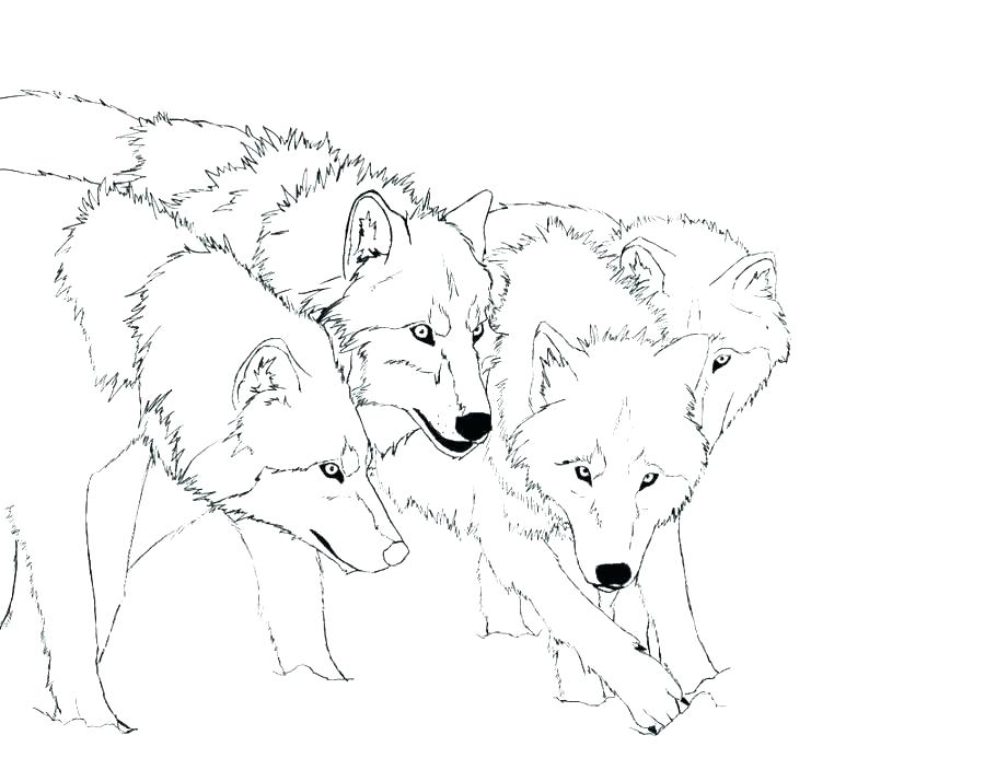 921x704 Realistic Puppy Coloring Pages Fuhrer Von