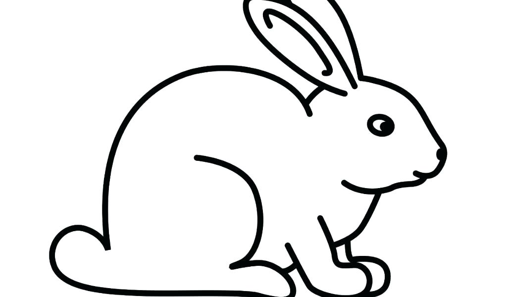 1024x600 Coloring Picture Of A Rabbit Rabbit For Coloring Rabbit Coloring