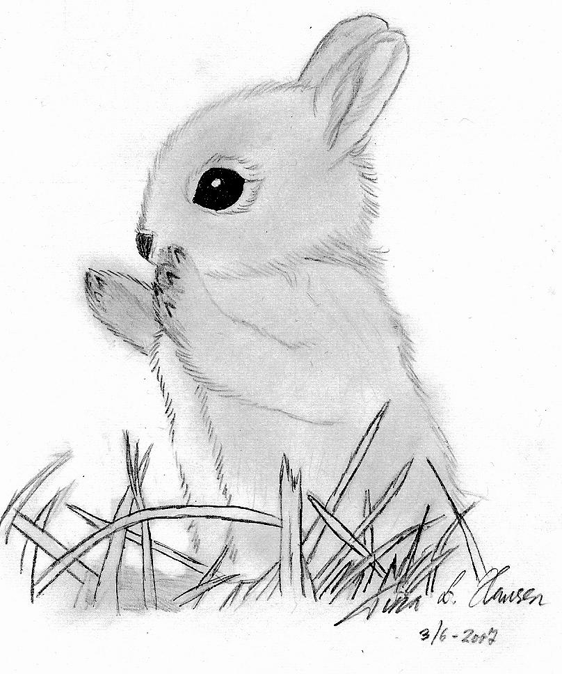 808x968 Drawn Rabbid Baby Bunny 3416374