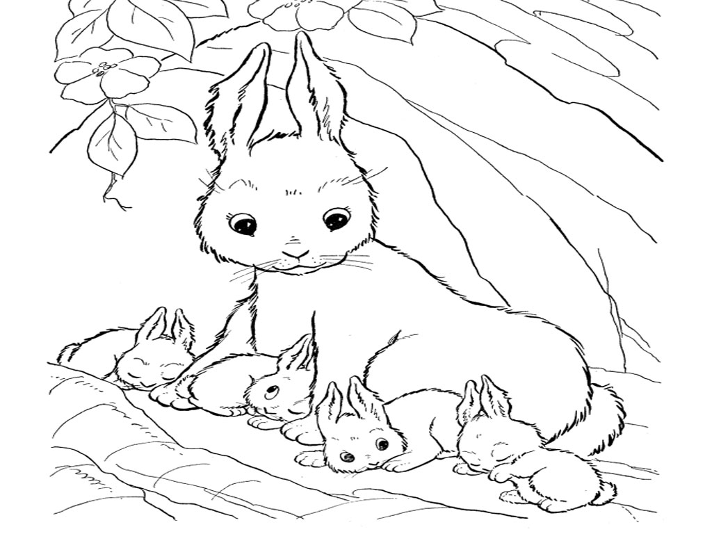 1024x768 Has Bunny Coloring Pages On With Hd Resolution 1024x768 Pixels