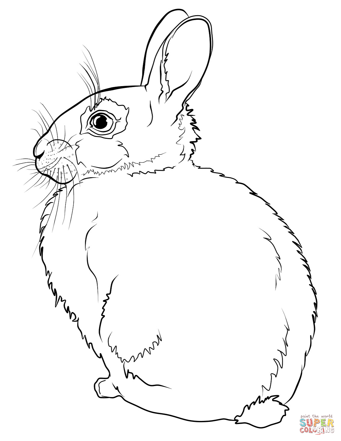 1140x1475 Unparalleled Realistic Bunny Coloring Pages Ra