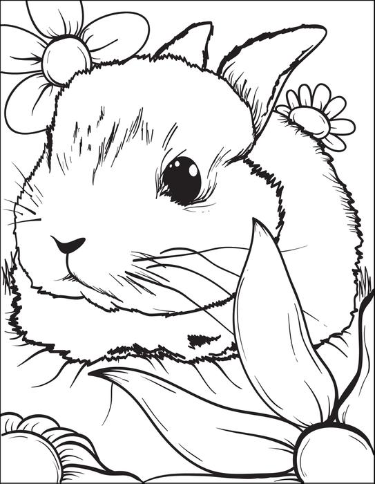 543x700 Realistic Rabbit Coloring Pages Gianfreda 613623