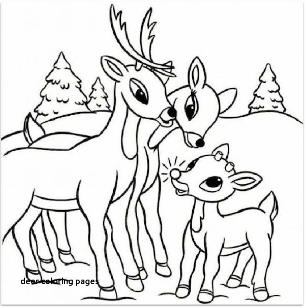 Realistic Reindeer Coloring Pages