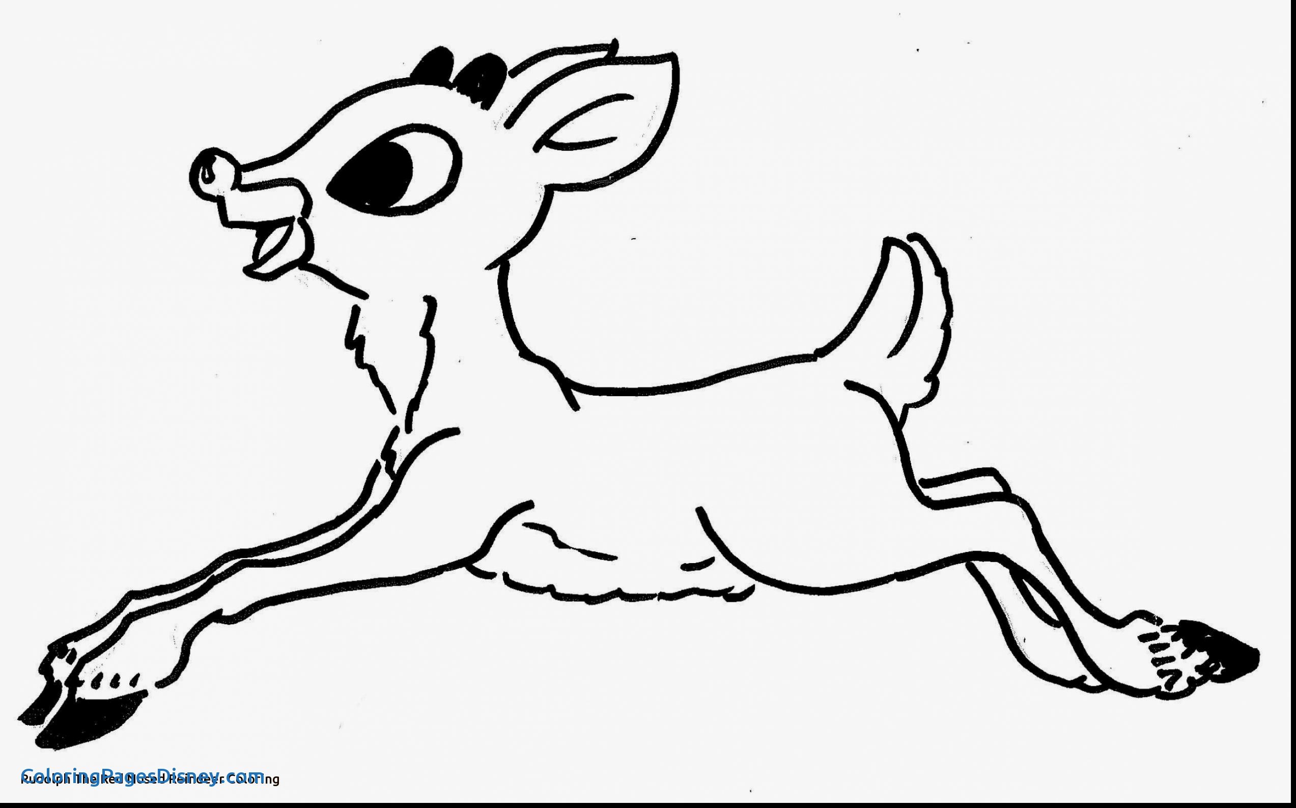 2546x1587 Reindeer Coloring Pages Beautiful Reindeer Coloring Pages Best 43