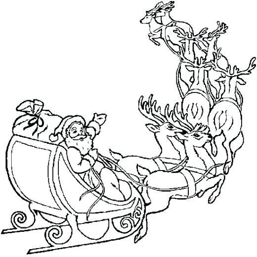 520x520 Realistic Reindeer Coloring Pages Professional