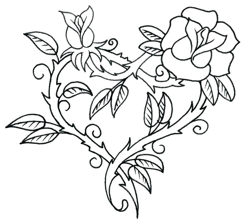 Realistic Rose Coloring Pages