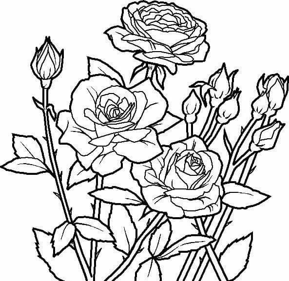 593x577 Pin By Patricia Armogan On Flowering Tattoos Of The Year