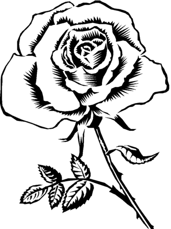 344x460 Pretty Rose Coloring Pages More To Color (All Ages)