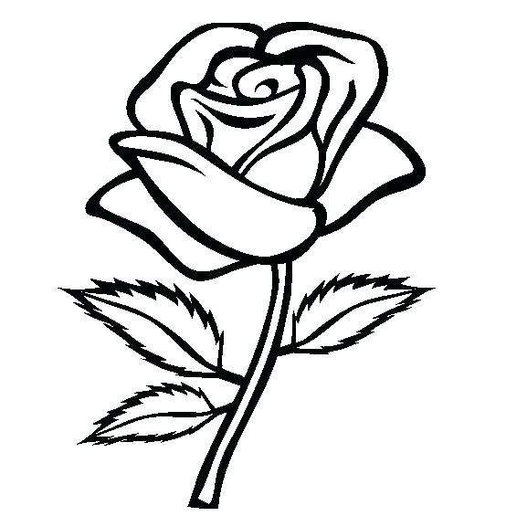 554x565 Realistic Flower Coloring Pages Realistic Coloring Pages Realistic