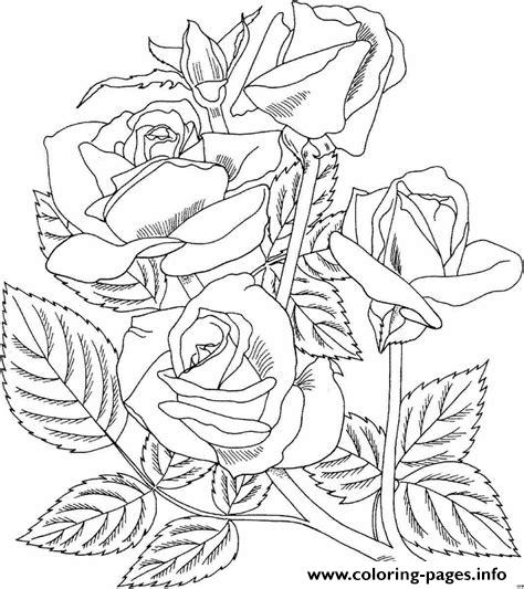 474x533 Realistic Rose Coloring Pages Printable