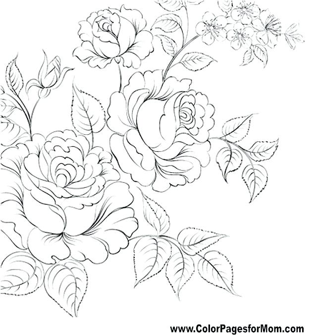 640x676 Detailed Flower Coloring Pages Flower Color Pages Realistic Flower