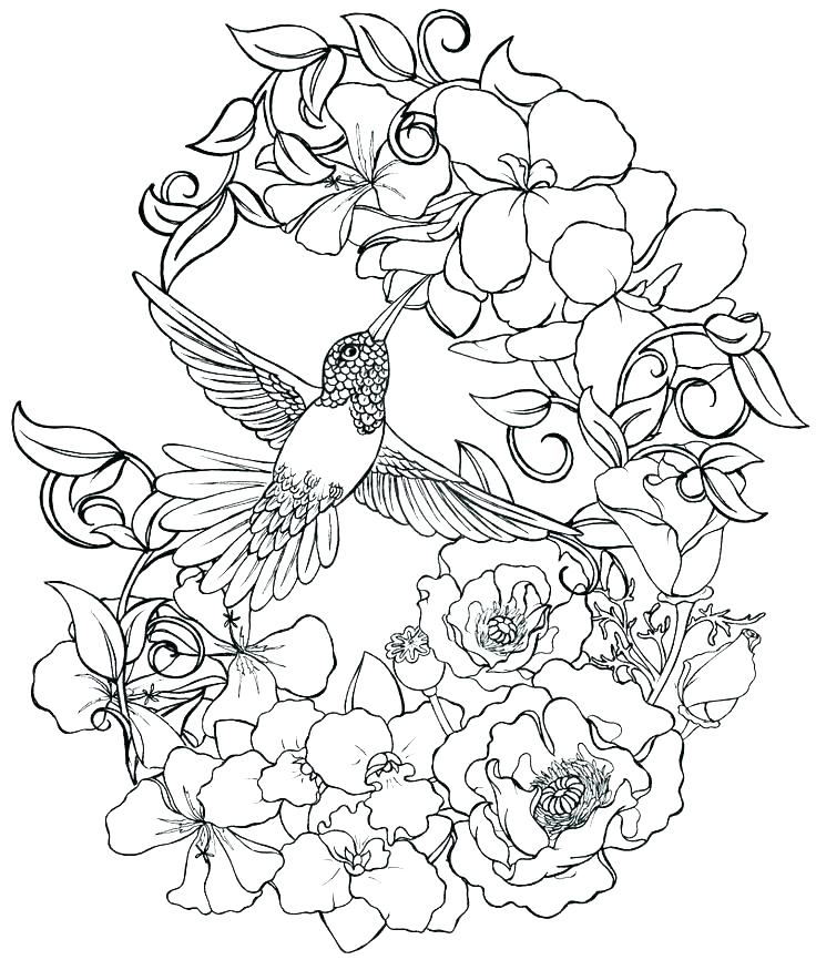 736x866 Detailed Flower Coloring Pages Realistic Flower Coloring Pages
