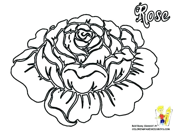 736x568 Flower Coloring Pages Free Pretty Flower Coloring Pages Free