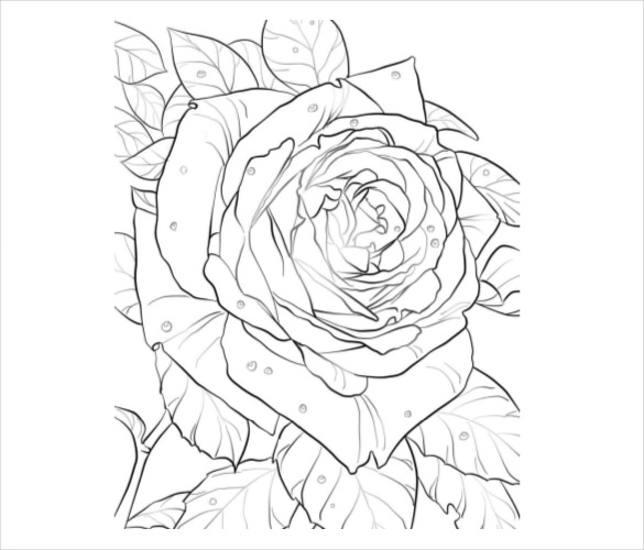 585x500 Flower Coloring Pages Free Psd, Ai, Vector Eps Format