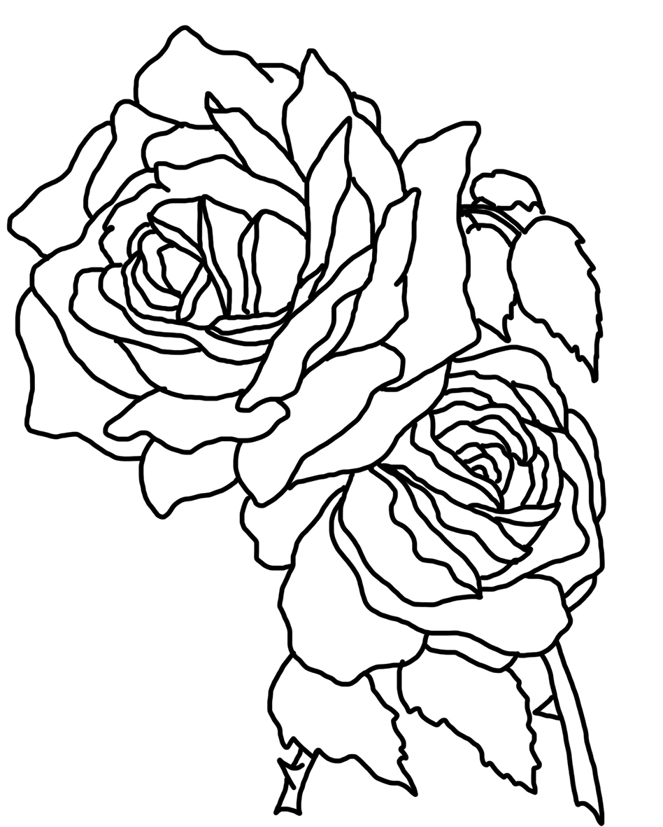 948x1181 Fresh Realistic Flower Coloring Pages Gallery Printable Coloring