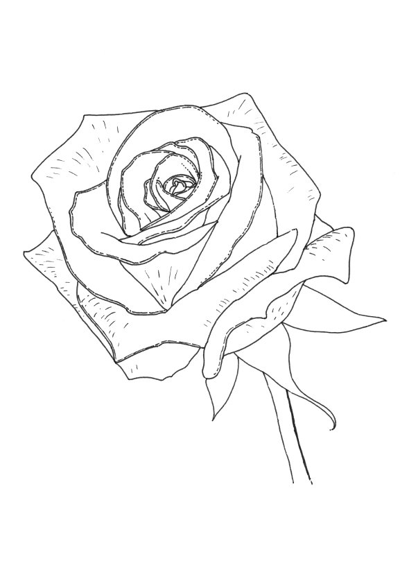 590x812 Mothers Day Coloring Pages Coloring Pictures Desktop Background