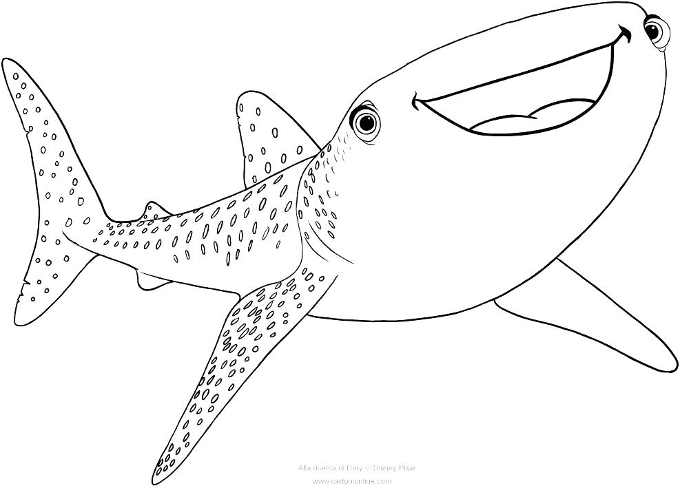 987x709 Realistic Great White Shark Coloring Pages