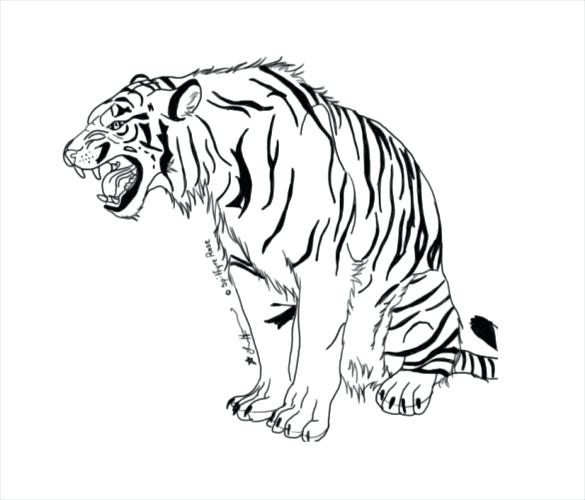 585x500 Free Printable Tiger Colouring Pages Coloring Two Baby Page