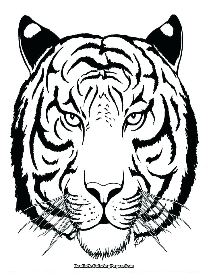728x958 Free Tiger Coloring Pages Tiger Free Coloring Pages Coloring Pages