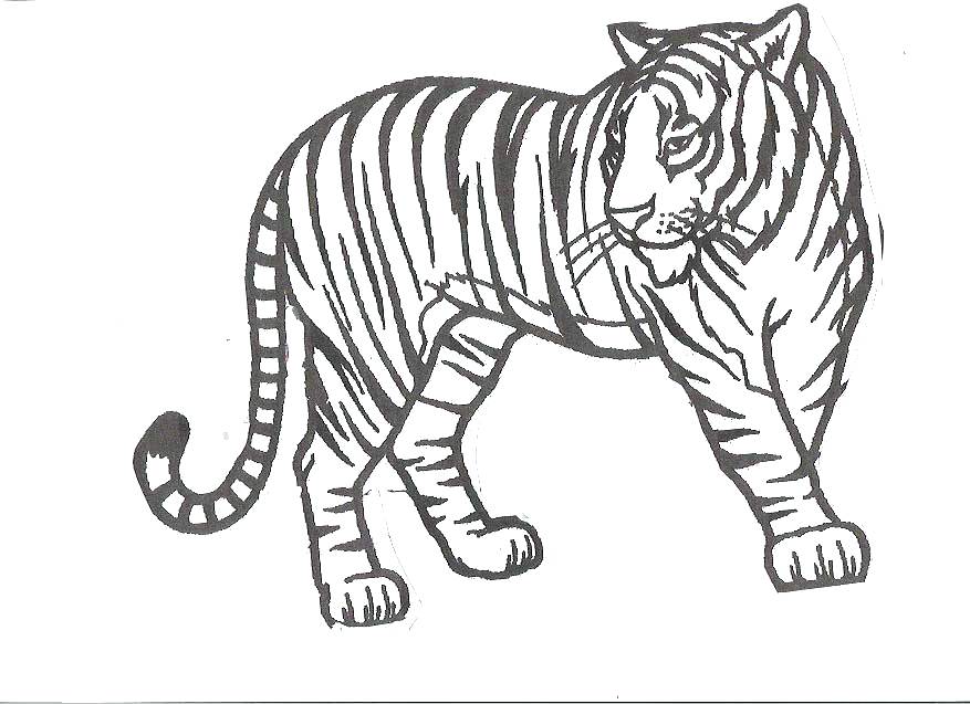 877x637 Tiger Coloring Pages Realistic Popular Free Tiger Coloring Pages