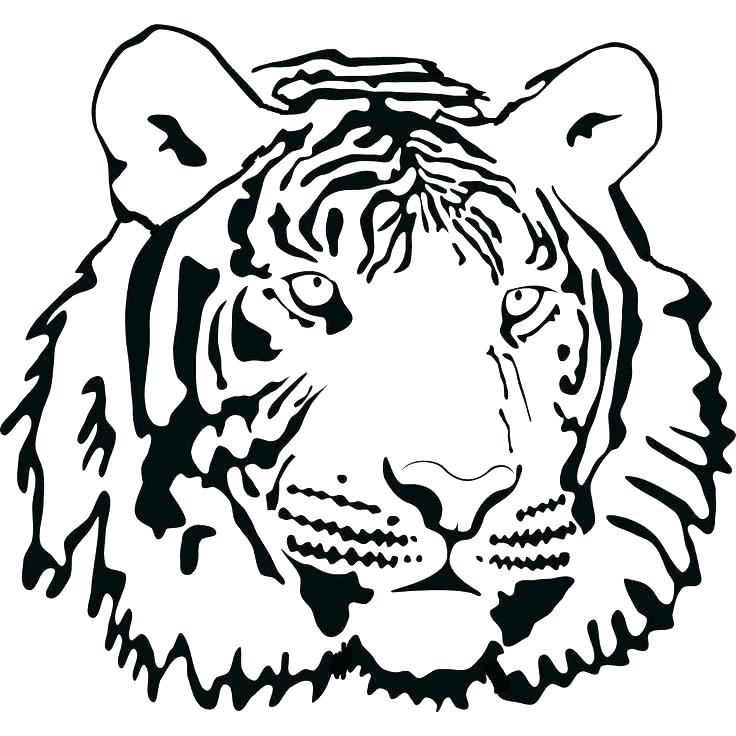 736x736 Coloring Page Tiger Free Tiger Coloring Pages Tiger Face Coloring