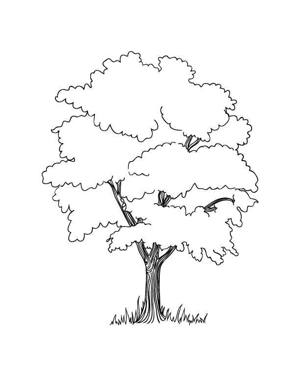 612x792 Family Tree Coloring Page