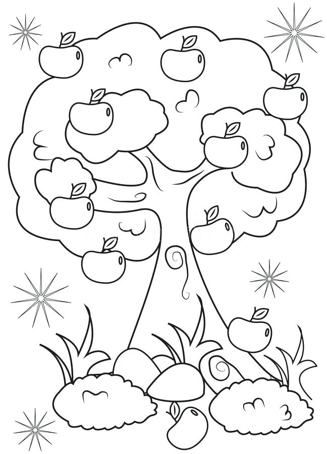 648x900 Apple Tree Coloring Page Download Apple Tree Coloring Page Stock