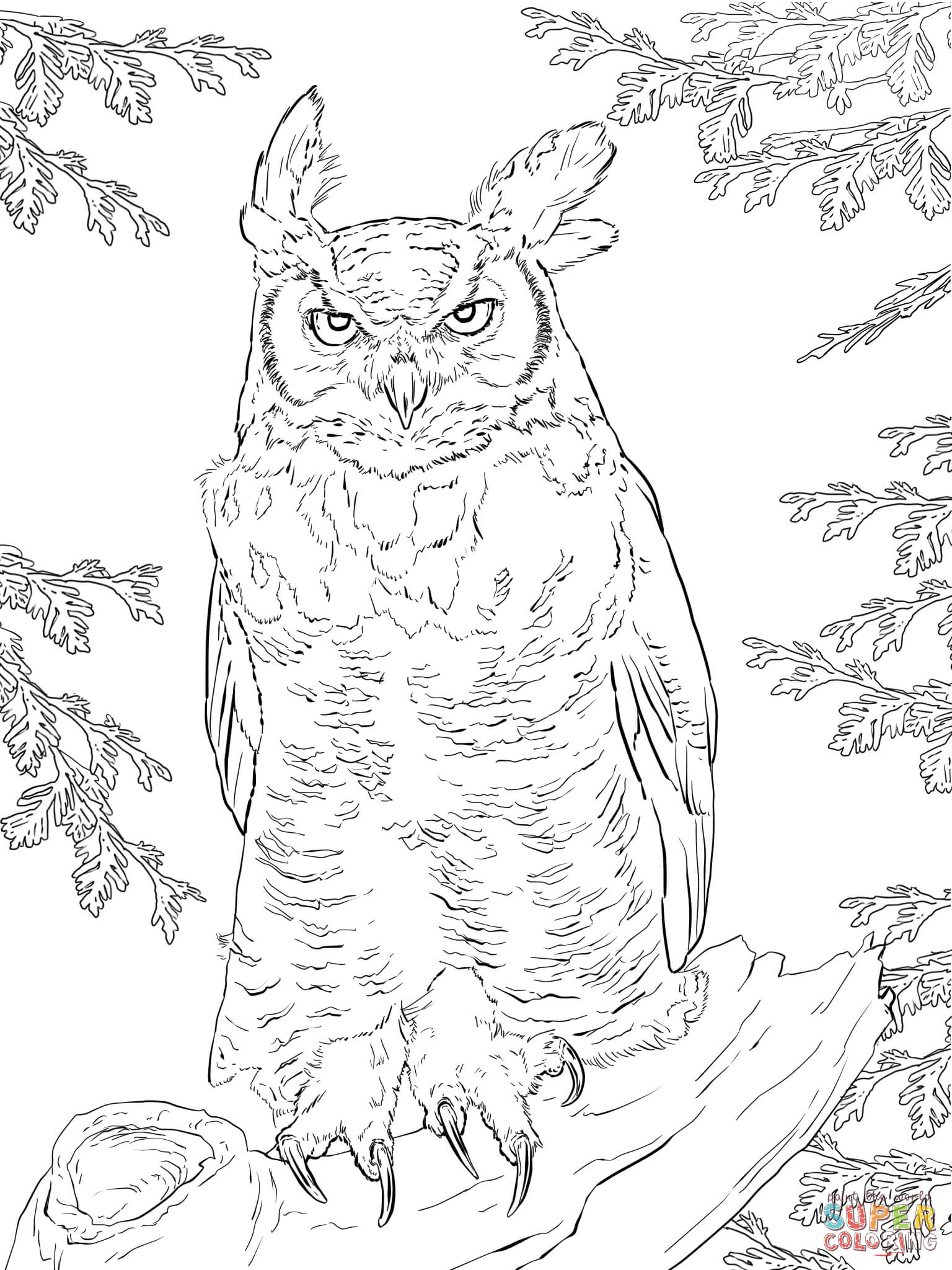 1536x2048 Opportunities Great Horned Owl Coloring Page W