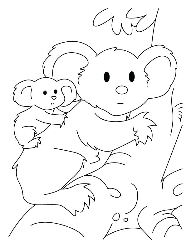 612x792 Wonderful Koala Bear Coloring Page Koala Bear Hanging On Tree