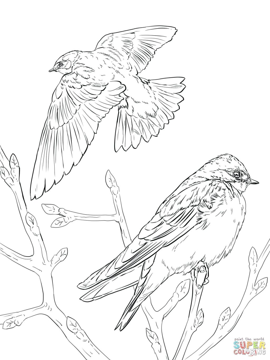 1024x1365 Coloring Page ~ Goose Coloring Page Realistic Tree Swallows