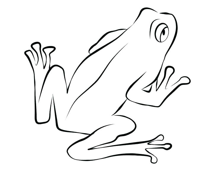 736x644 Coloring Page Realistic Frog Coloring Page Baby Frog Coloring Page