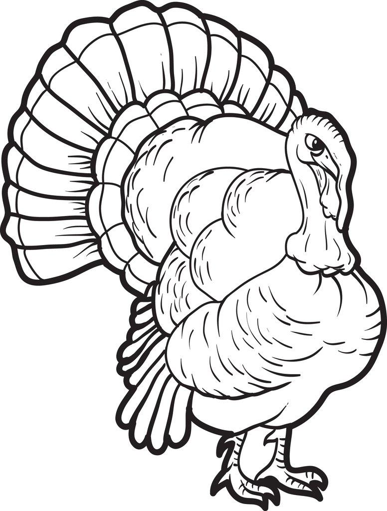 776x1024 Free Printable Turkey Coloring Page For Kids
