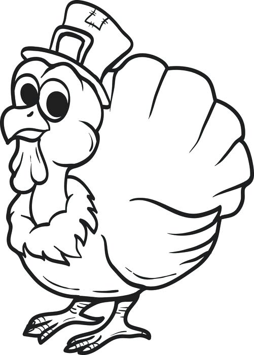 501x700 Moorhen Animal Coloring Pages Moorhen Animal Coloring Pages